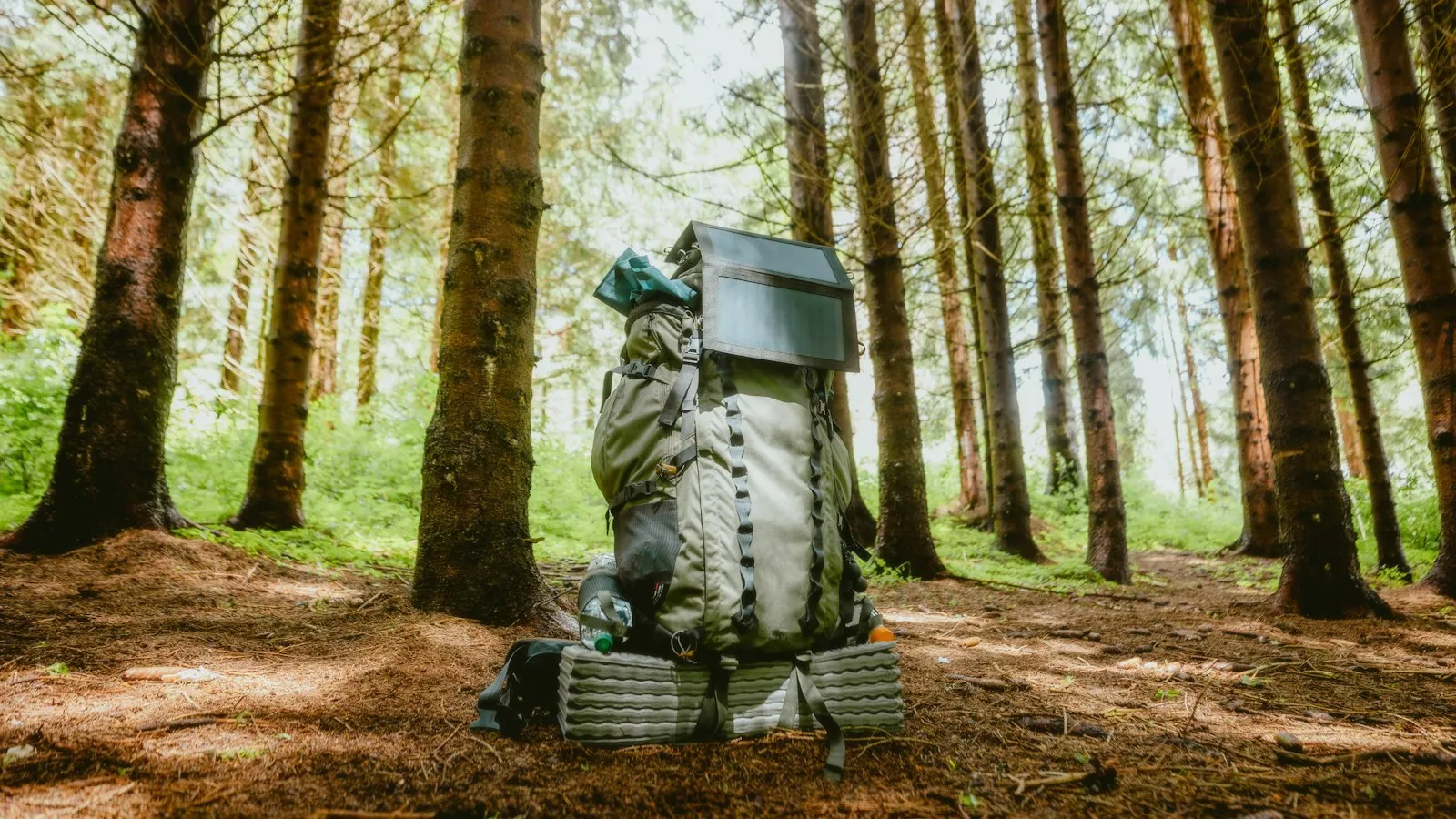 Grosser Rucksack mit aufgesetztem Solarpaneel steht auf einer Isomatte im Nadelwald