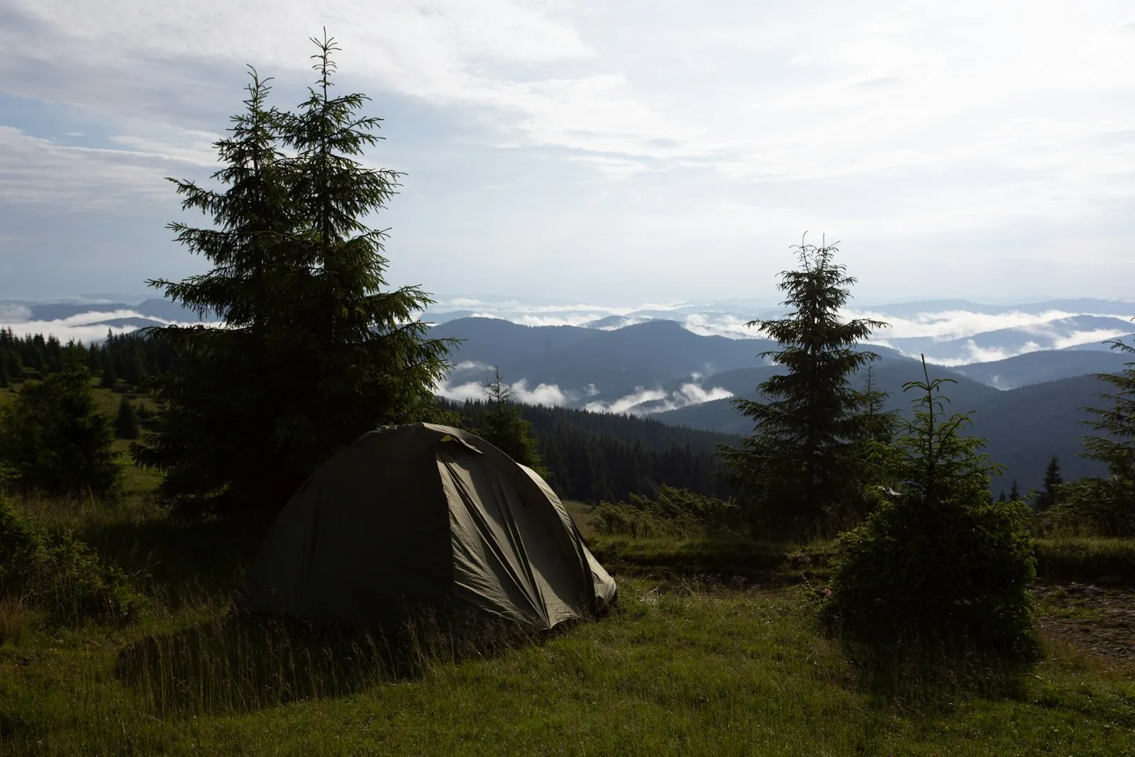 Einzelnes dunkles Kuppelzelt auf einer Bergwiese, darunter ein Wolkenmeer über bewaldeten Hängen