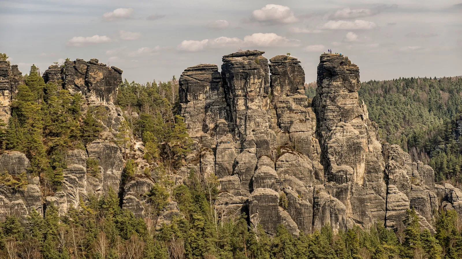 Freistehende Sandsteintuerme ragen ueber einem Nadelwald auf, dahinter ein bewaldeter Hoehenzug