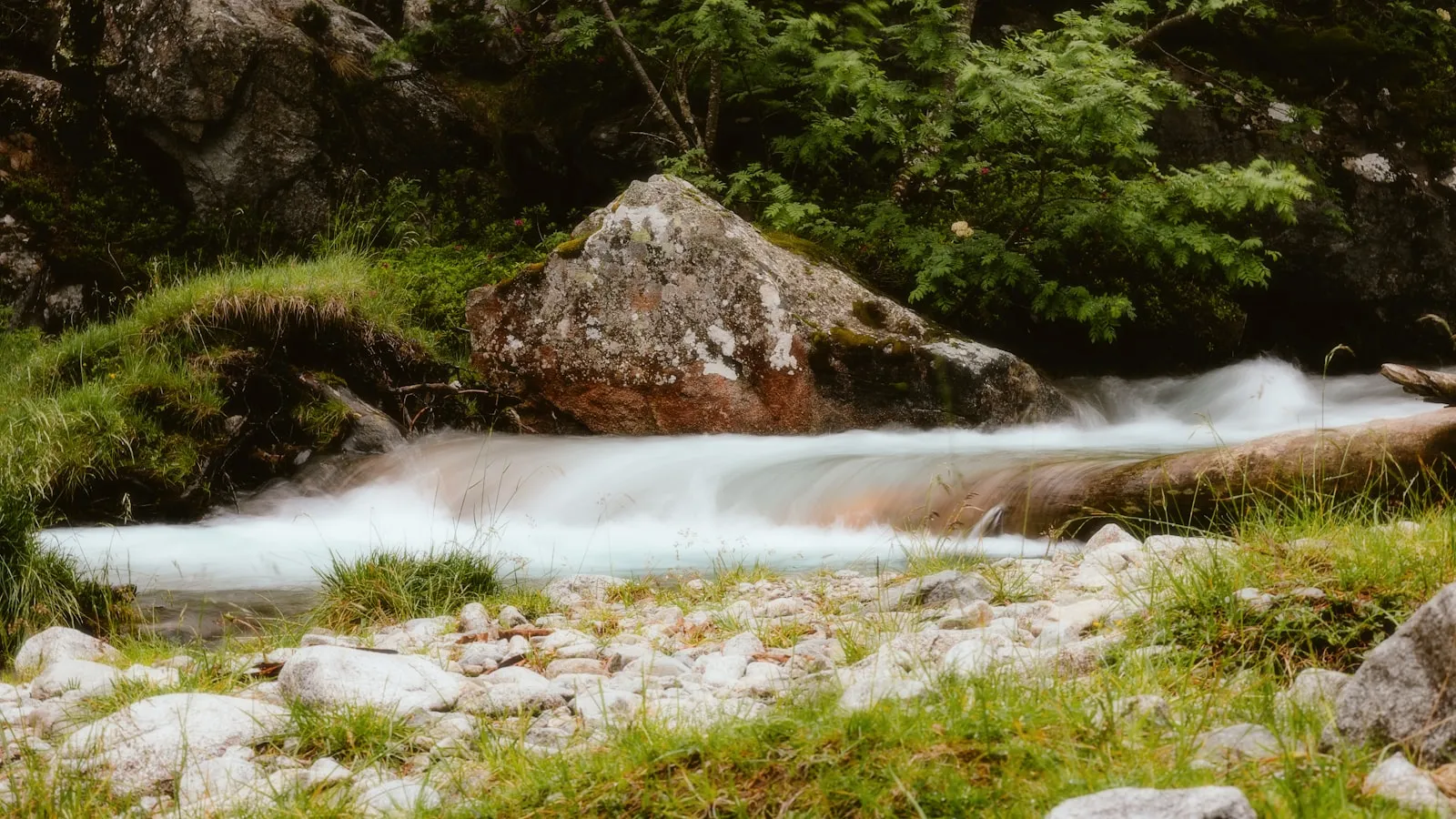 Klarer Bergbach strömt über Felsen durch eine grüne Senke