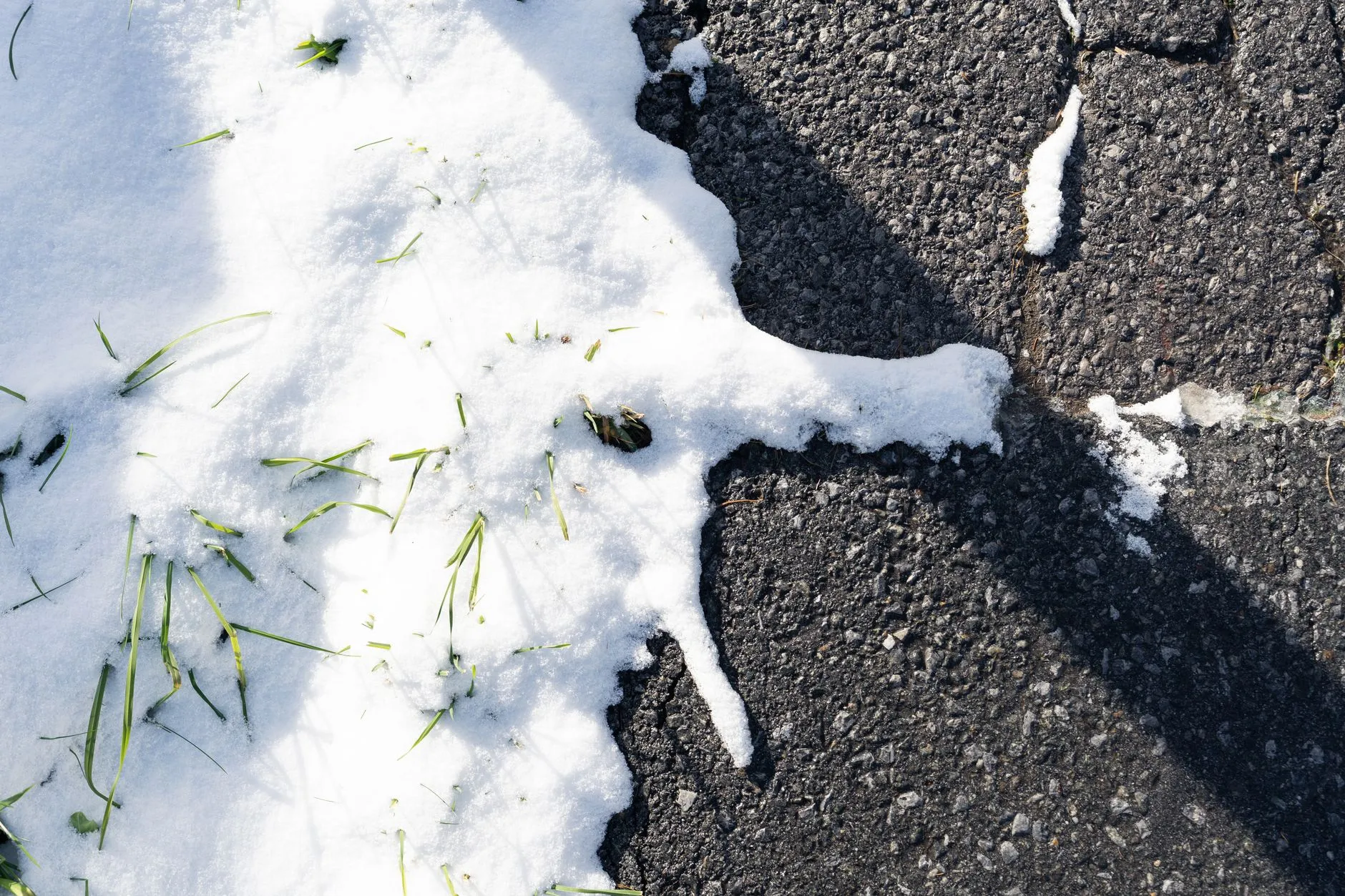 Nahaufnahme von tauendem Schnee auf nassem Asphalt, einzelne Grashalme ragen heraus