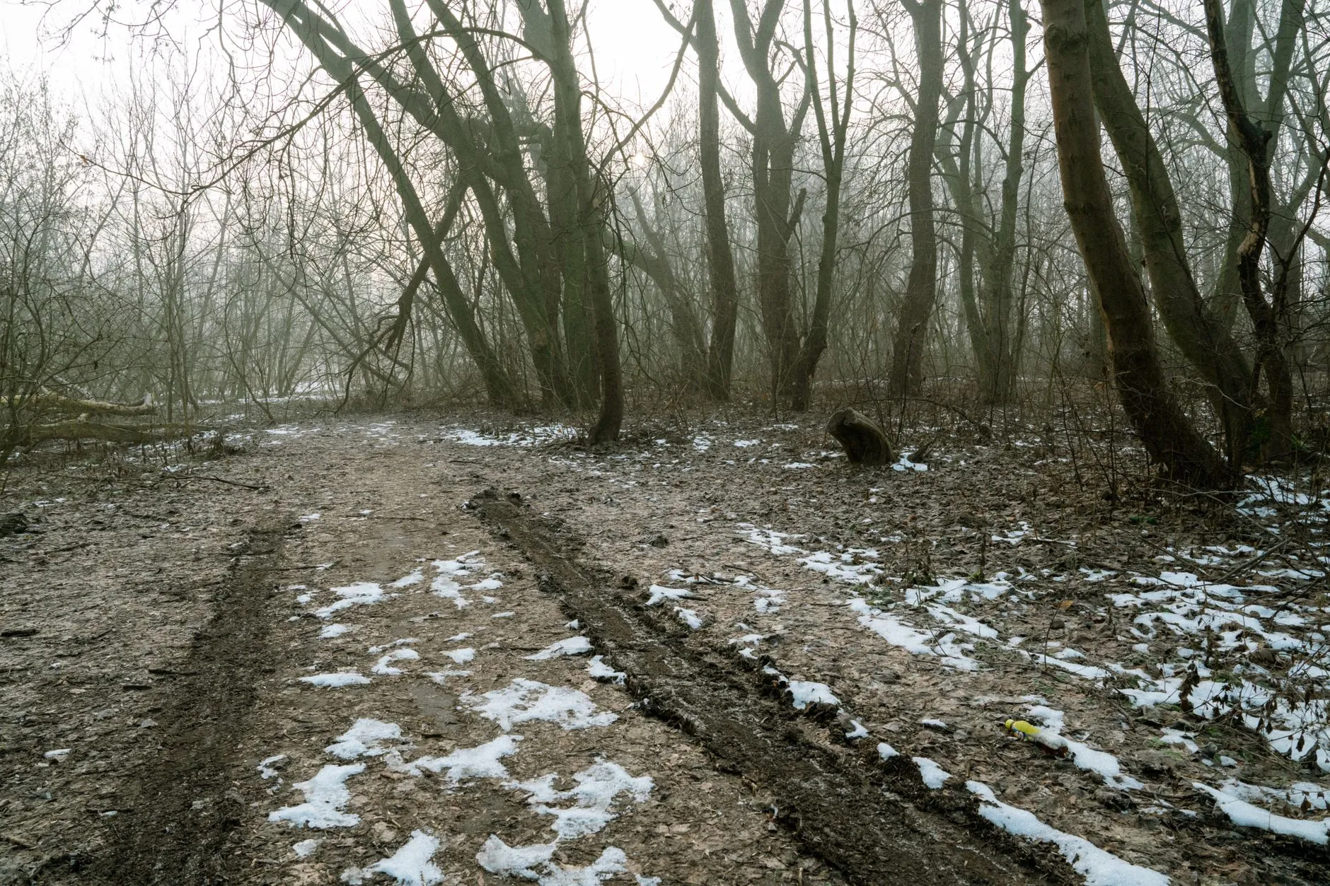 Matschiger Waldweg mit Fahrspuren und Schneeresten in Nebel, ringsum kahle Baeume